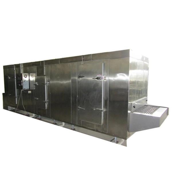 industrial Tunnel Microwave Food Grain Nuts Fruit Vegetable Dryer Roasting Drying Curing Sterilizing Machine